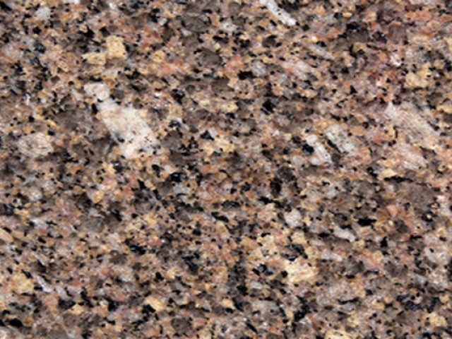Oro-Fino-640x480_c.jpg