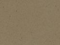 Beige-Arena-640x480_c.jpg
